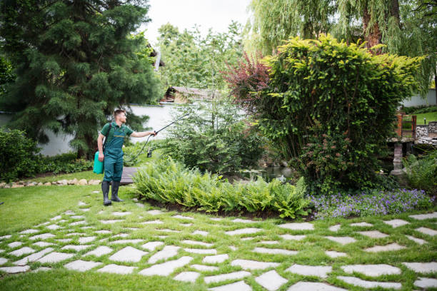 Organic Lawn Care Solutions in Waupaca, WI