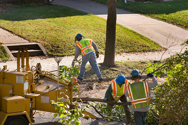 Lawn Pest Prevention in Waupaca, WI